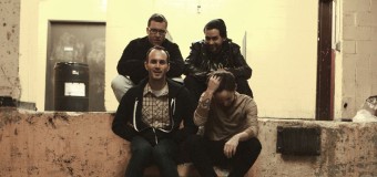 Q&A: BOIDS Stalking Within the Punk Scene