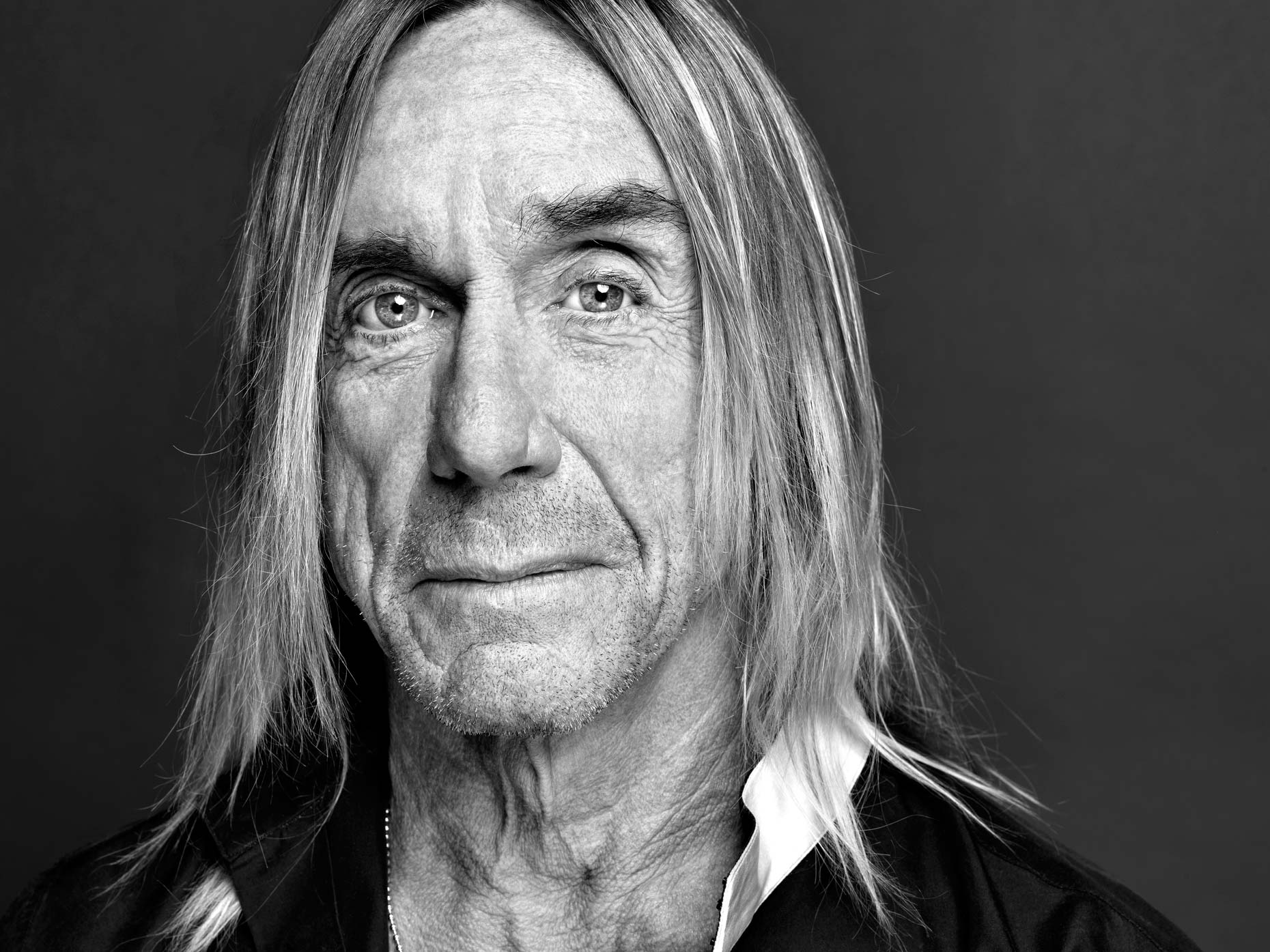 Iggy Pop Net Worth