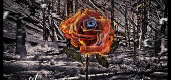 Review: Five Hundredth Year – “A Rose from Ashes”